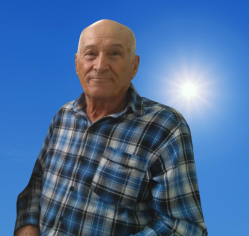 ANEDINO PEREIRA DAS SILVA