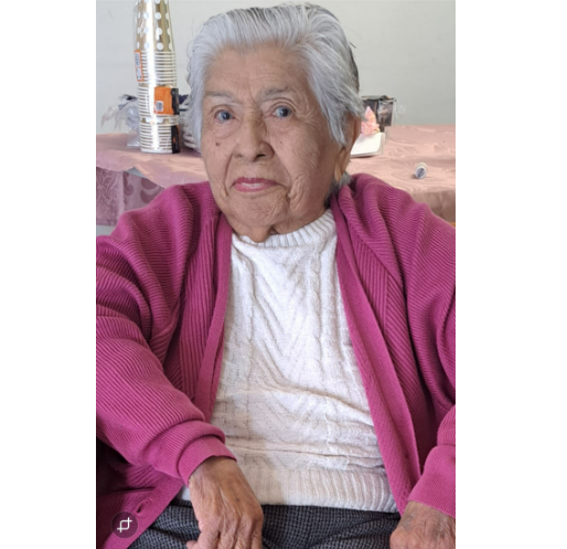 HOSANNA APPARECIDA NASCIMENTO DE MENDONÇA