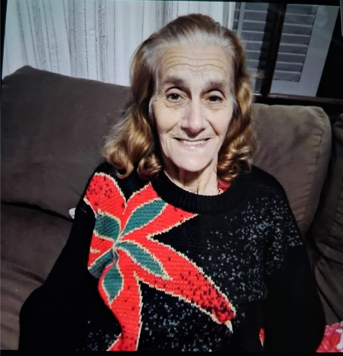 ELENA DOS SANTOS SILVA