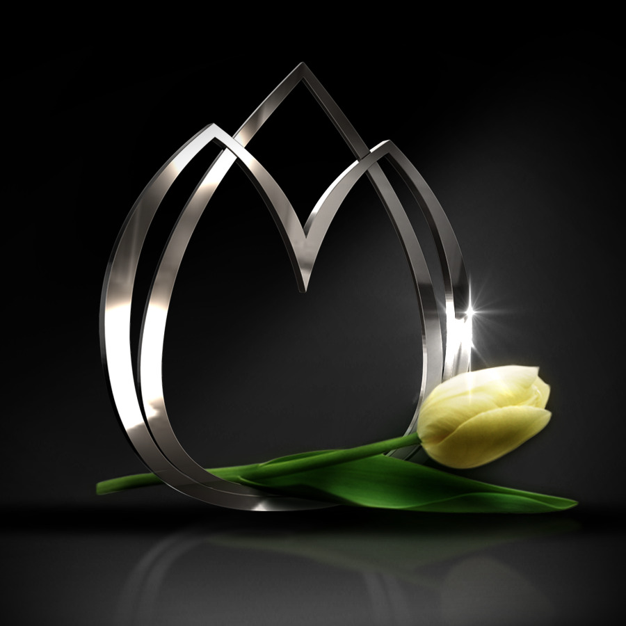 SORAYA APARECIDA FERREIRA