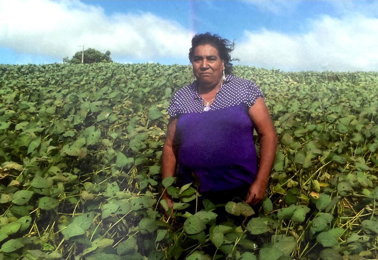 ANGELICA FELIX NASCIMENTO