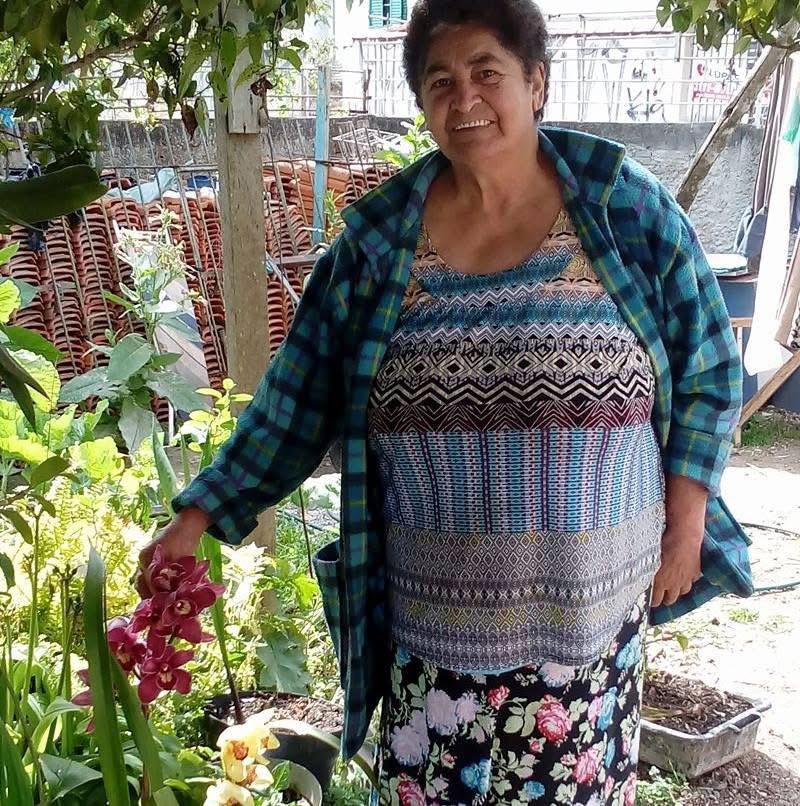 EDI FERNANDES DE CAMARGO