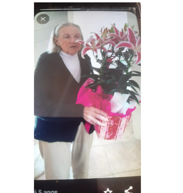 PALMIRA MARIA MALISSESKI PEREIRA