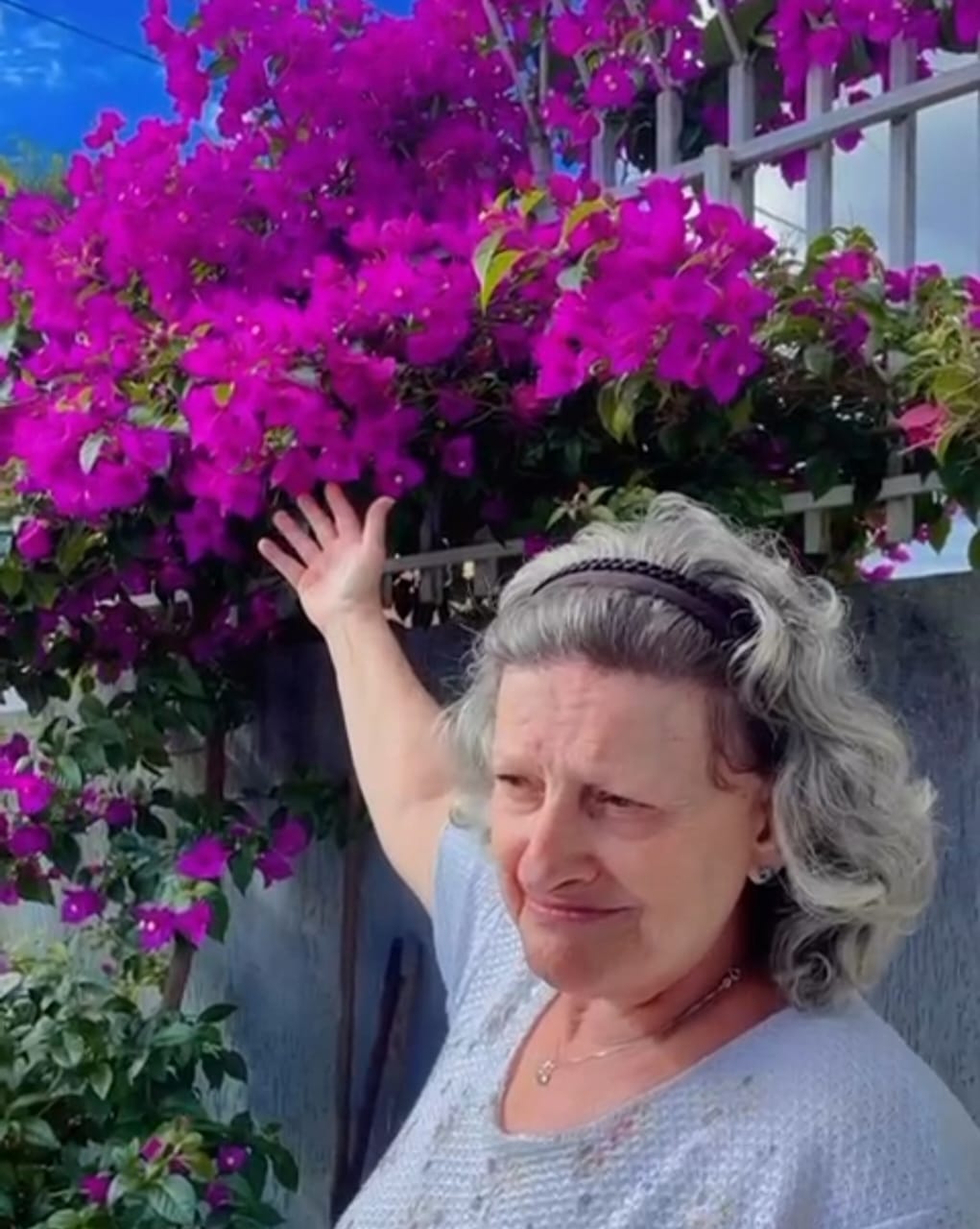CLARICE DE LIMA TEIXEIRA