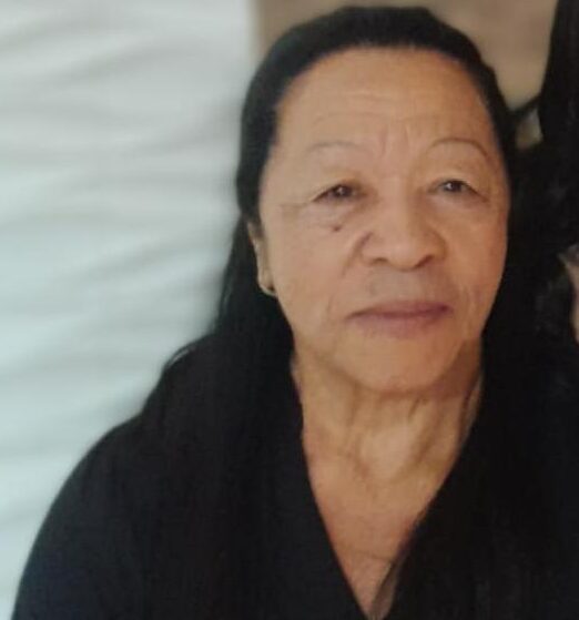 ANNA PEREIRA DA SILVA DOS SANTOS