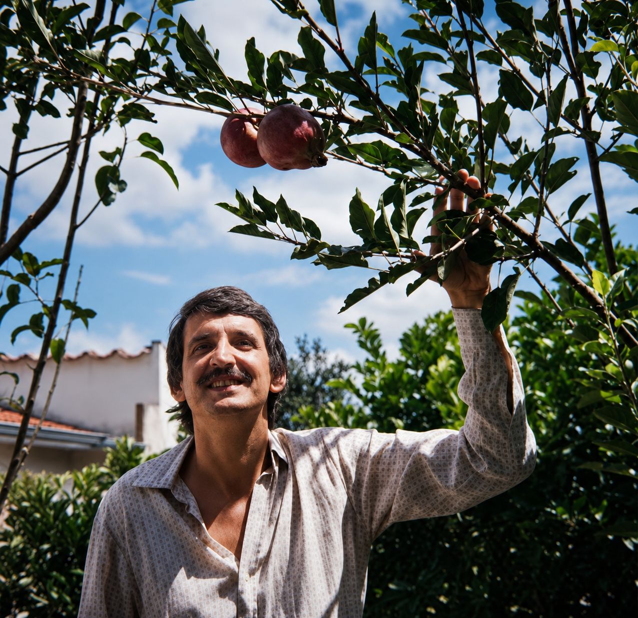 ERALDO ROSA