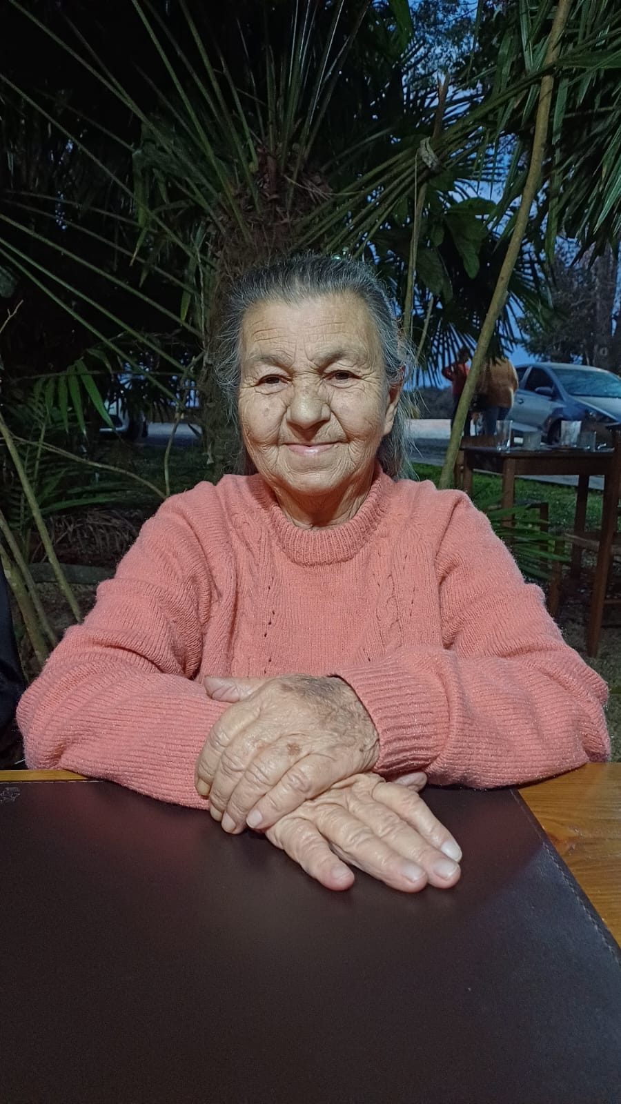 LIDIA CARNEIRO LEITE