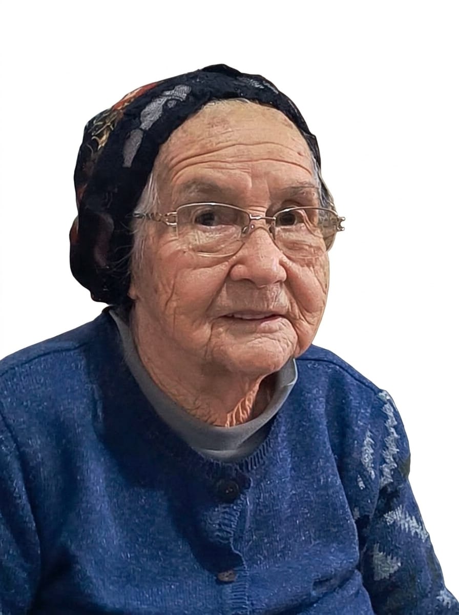 JOSEFINA PERPETUA DE LIMA